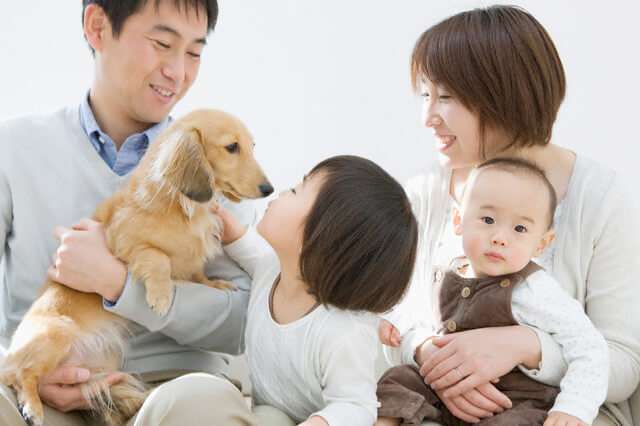 10 lý do cho con nuôi thú cưng