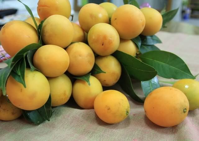 6 loại trái cây giúp phòng tránh ung thư vú 8