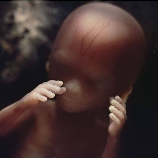 16 tuần, thai nhi dùng tay để khám phá cơ thể mình
