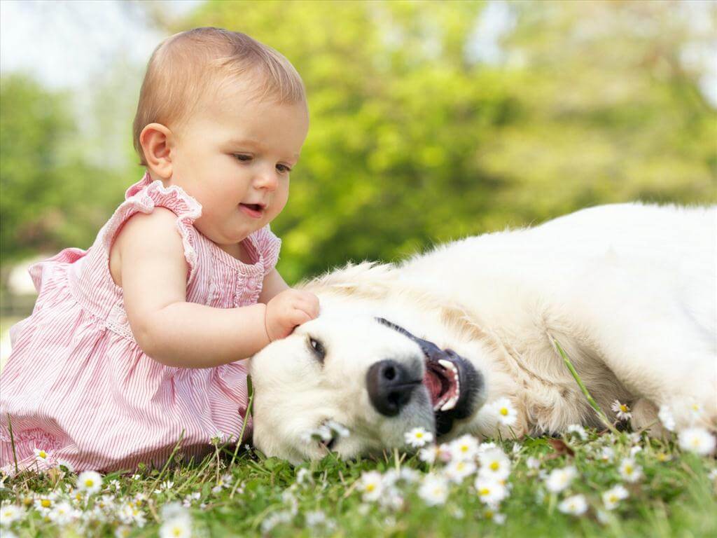Bồi dưỡng lòng yêu thương con trẻ bằng tình yêu động vật 5