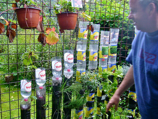 Cách làm “tháp rau” từ chai nhựa để trồng rau sạch tại nhà 52