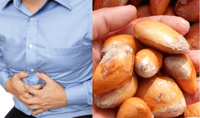 Hạt sầu riêng có thể chữa trị đau dạ dày