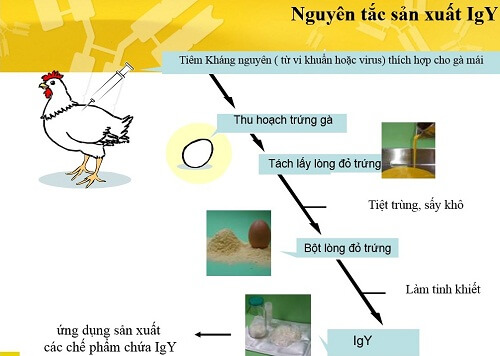 IGYGATE DC-PG - Ngọt ngào giây phút dành cho nhau 8