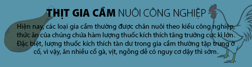 Infographic: Top những thực phẩm khiến bé dậy thì sớm nên tránh 16