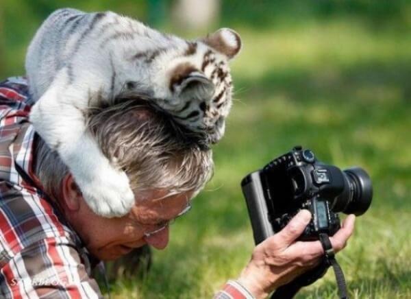 Khoảnh khắc "khó đỡ" của các nhiếp ảnh gia khi chụp ảnh động vật hoang dã 12