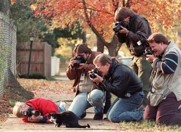 Khoảnh khắc "khó đỡ" của các nhiếp ảnh gia khi chụp ảnh động vật hoang dã 14