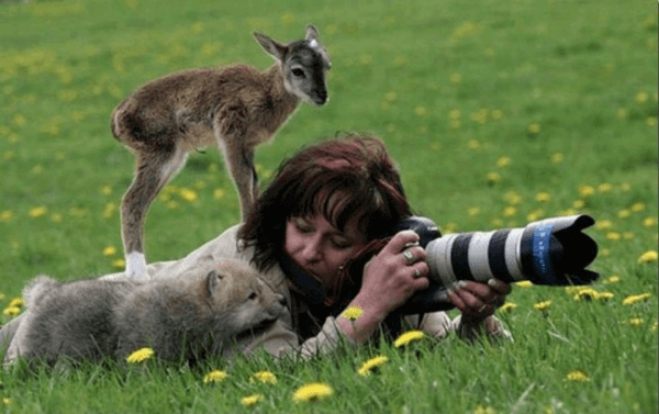 Khoảnh khắc "khó đỡ" của các nhiếp ảnh gia khi chụp ảnh động vật hoang dã 15