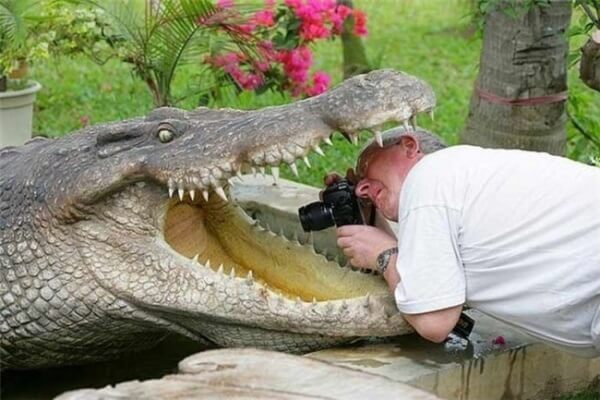 Khoảnh khắc "khó đỡ" của các nhiếp ảnh gia khi chụp ảnh động vật hoang dã 18