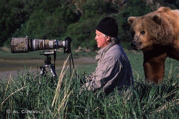 Khoảnh khắc "khó đỡ" của các nhiếp ảnh gia khi chụp ảnh động vật hoang dã 20