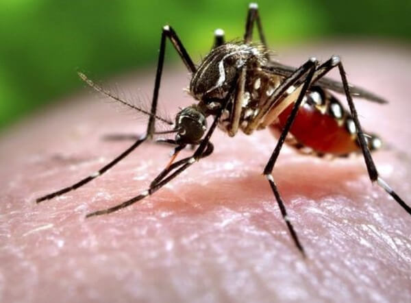 Mẹ bầu bị nhiễm virus Zika đầu tiên tại TP.HCM đã chấm dứt thai kỳ 4