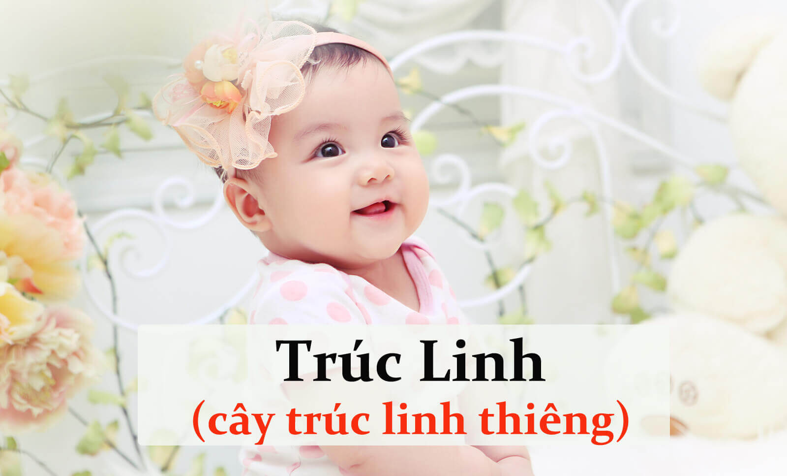 Những cái tên dành cho bé gái 2017 hợp phong thủy (Phần 2) 22