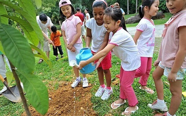 Những chiêu dạy con yêu thiên nhiên của một bà mẹ thông thái 6