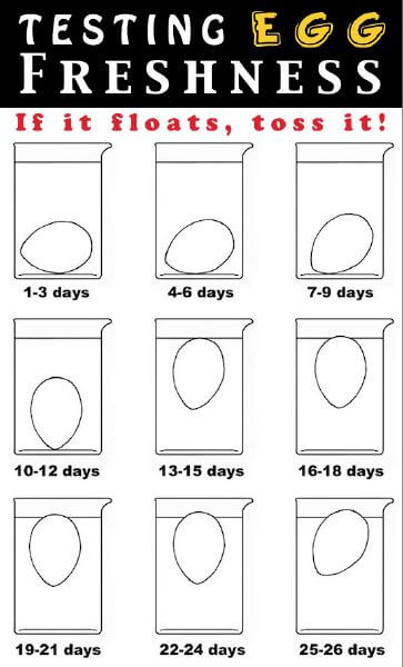 làm sao biết trứng cũ hay trứng mới