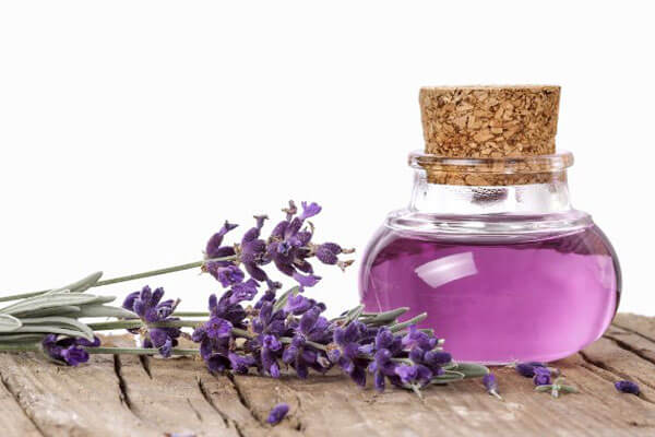 Tinh dầu hoa oải hương "thần dược" của sức khỏe và sắc đẹp 9