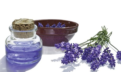 Tinh dầu hoa oải hương "thần dược" của sức khỏe và sắc đẹp 10