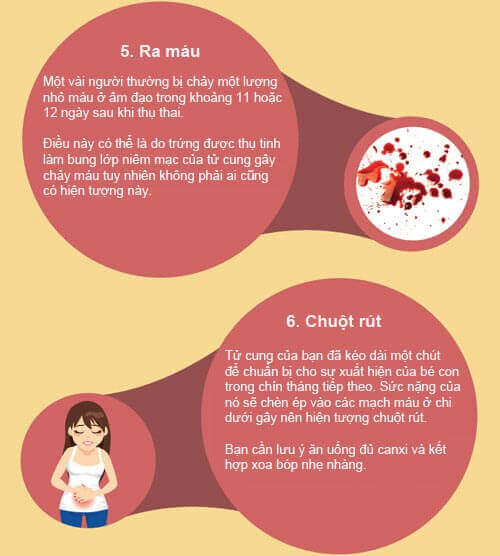 Infographic: Các dấu hiệu nhận biết có thai cực chuẩn 14