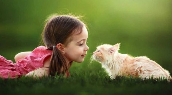 Những cách dạy bé yêu thú vật 4