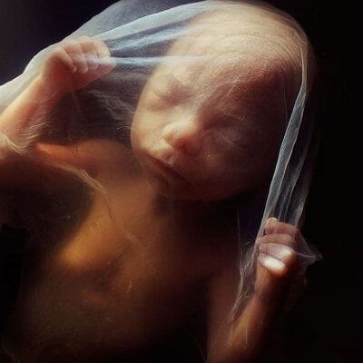 Bộ ảnh chân thực về sự phát triển của thai nhi có thể khiến bạn rơi nước mắt 1