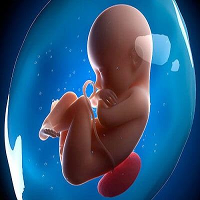 Sổ nhau thai, giai đoạn cuối cùng của quá trình sinh con 4