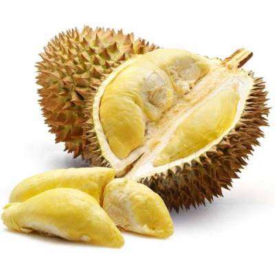 Mẹ bầu có nên ăn sầu riêng? 8
