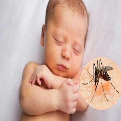 6 cách bảo vệ bé yêu của mẹ khỏi côn trùng đốt 2