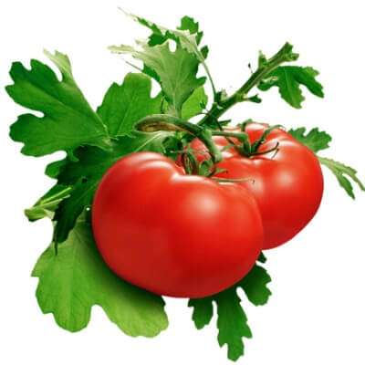Cà chua ngăn ngừa ung thư tuyến tiền liệt 1