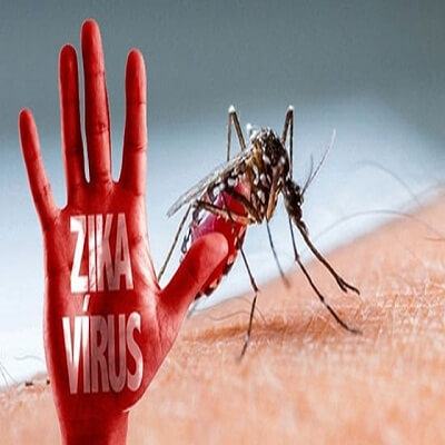 Cách ngăn ngừa vi rút Zika lan truyền trong cộng đồng 4