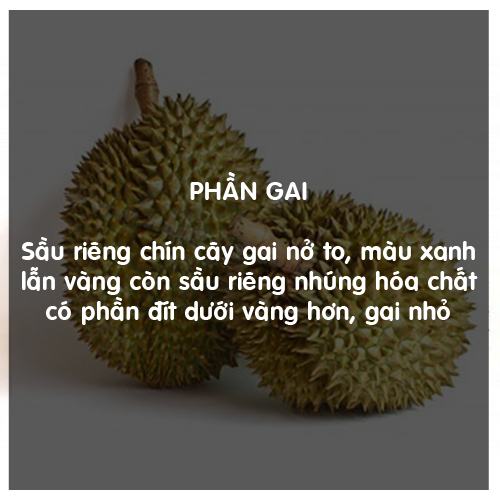 Cách lựa chọn trái cây an toàn, không hóa chất 6