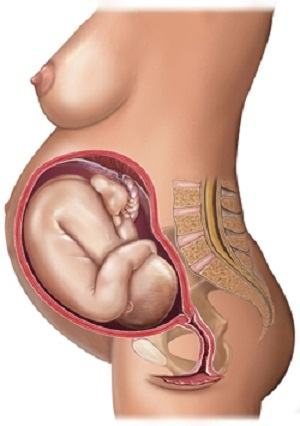 Nhật ký mang thai: 40 tuần thai kỳ khỏe mạnh (Phần 35) 3