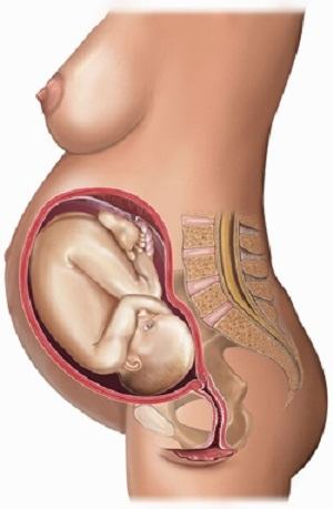 Nhật ký mang thai: 40 tuần thai kỳ khỏe mạnh (Phần 31) 4