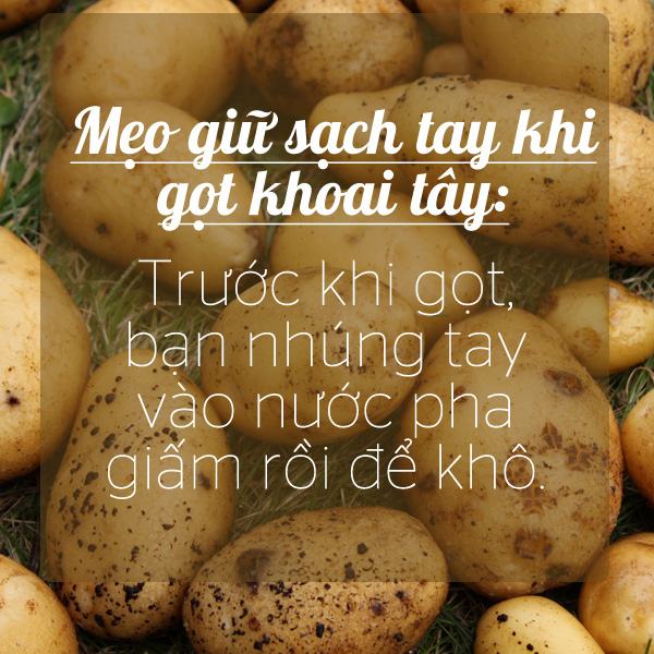 mẹo vặt từ giấm ăn