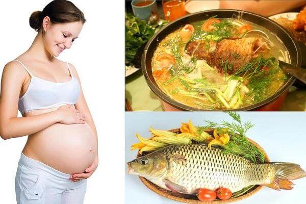 Ăn cá khi mang thai tốt cho sức khỏe cả mẹ lẫn con 12