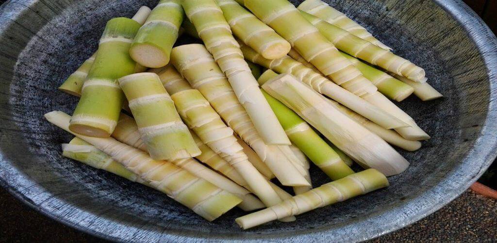 Bà bầu ăn măng được không? Có ảnh hưởng đến sức khỏe thai nhi hay không? 3