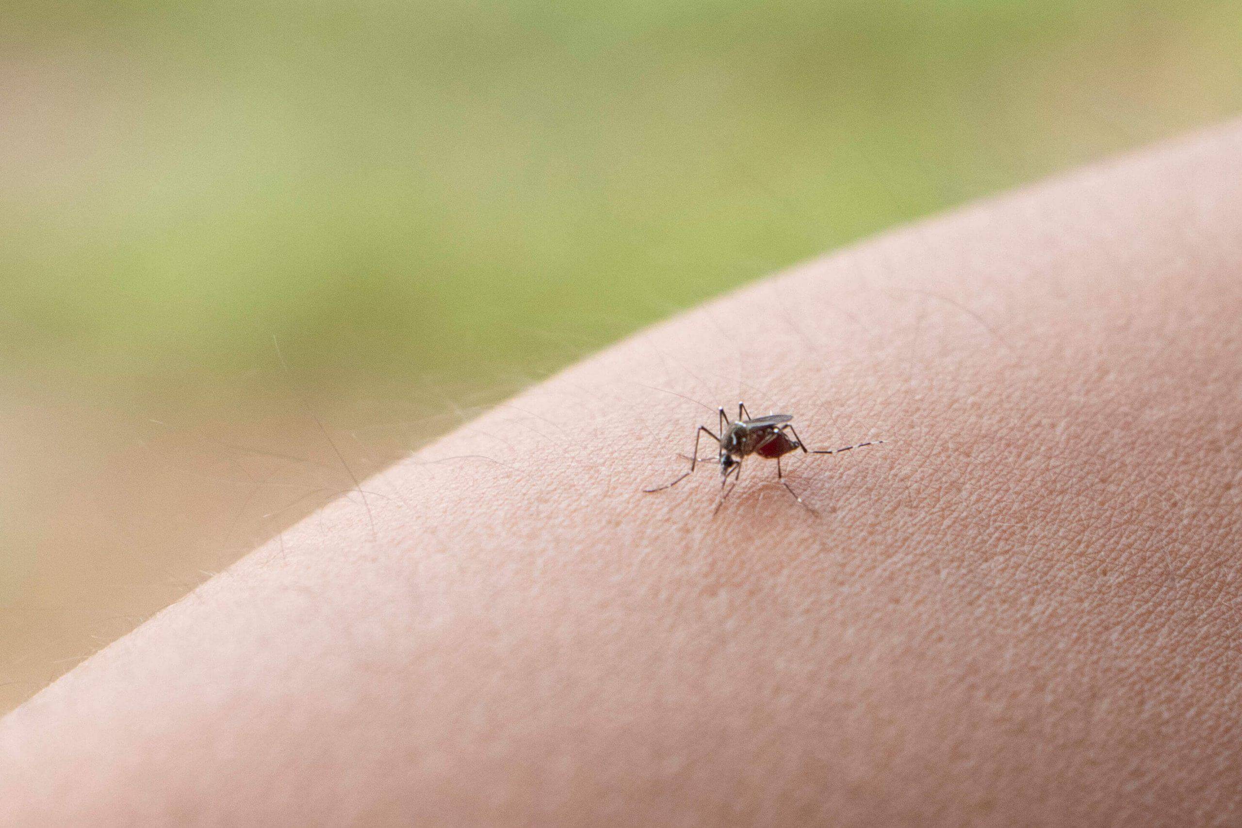 chống muỗi cho bé