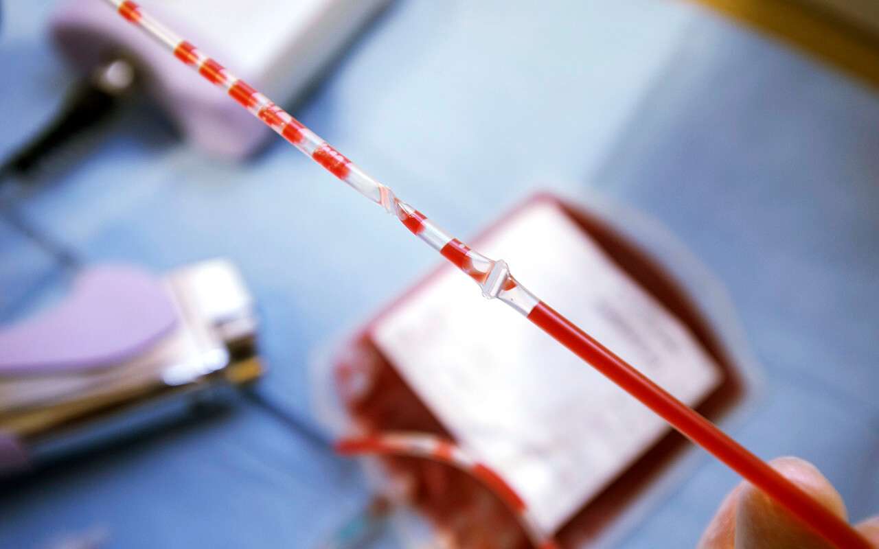 Bố mẹ có thể đăng ký lưu trữ tế bào gốc máu cuống rốn từ trước khi sinh
