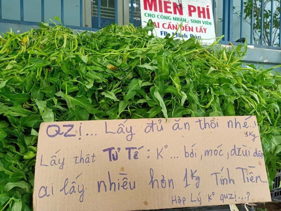 Anh Minh bán rau nổi tiếng cộng đồng mạng từ chối nhận tiền ủng hộ 1