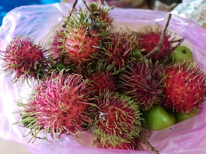 Hậu Giang tồn đọng 180 tấn nhãn, chôm chôm và dưa lê 34 Hậu Giang tồn đọng 180 tấn nhãn, chôm chôm và dưa lê 14