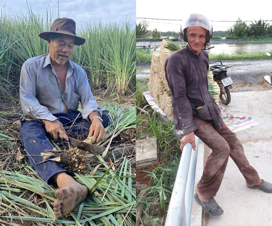 Nóng trên mạng xã hội: Lão nông miền Tây tặng cả vườn sả cho người TP.HCM 36 Nóng trên mạng xã hội: Lão nông miền Tây tặng cả vườn sả cho người TP.HCM 16