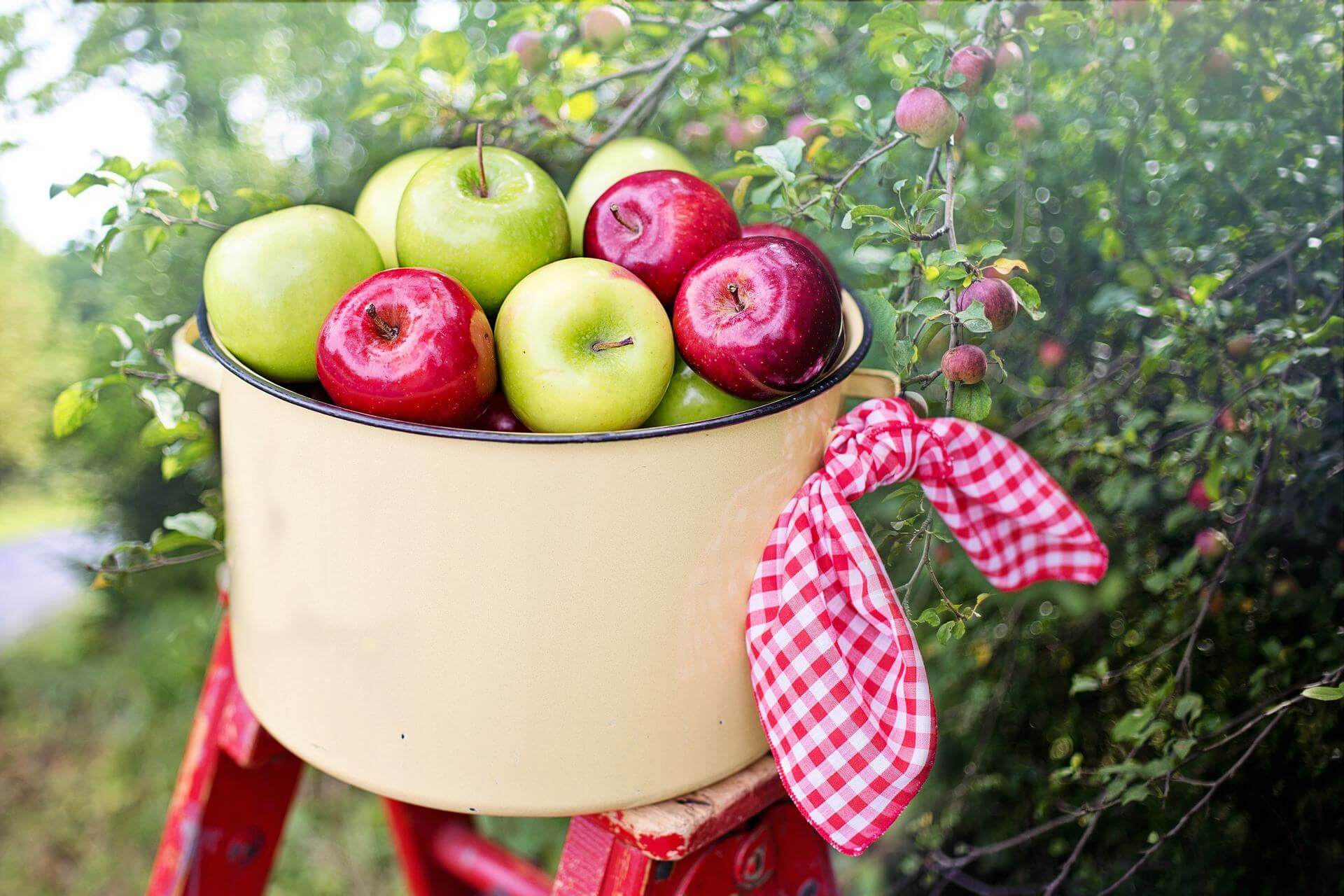 Ăn nhiều táo xanh, bạn sẽ gặt hái được những lợi ích tuyệt vời này 9
