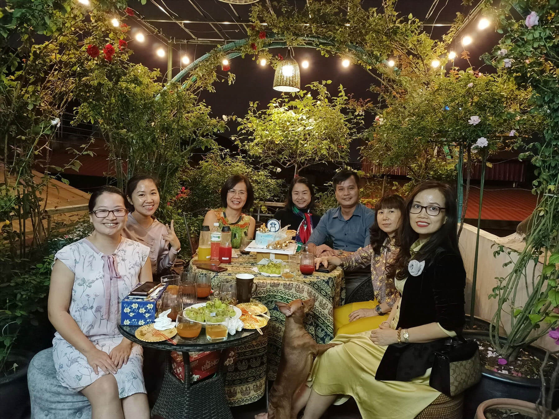 'Vườn hồng nhớ bố' của người phụ nữ Hà thành 47 'Vườn hồng nhớ bố' của người phụ nữ Hà thành 36