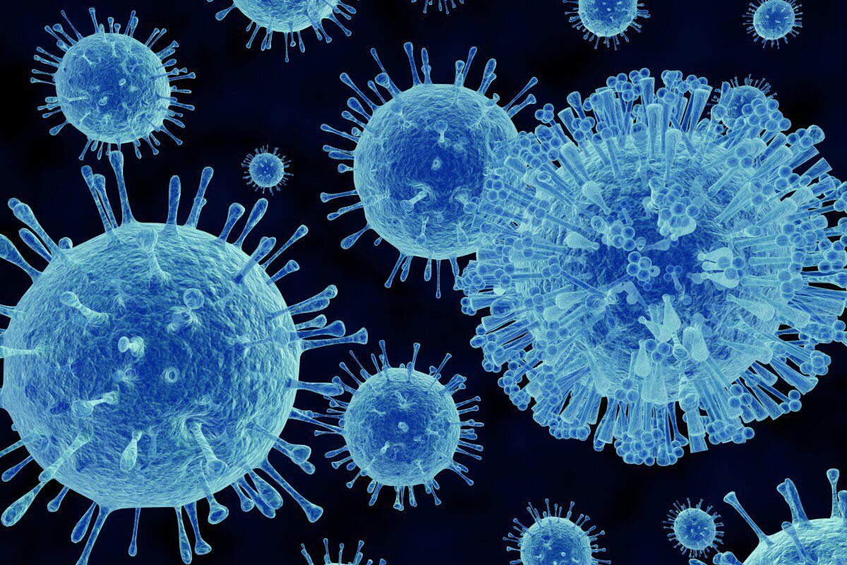 Virus siêu vi là gì