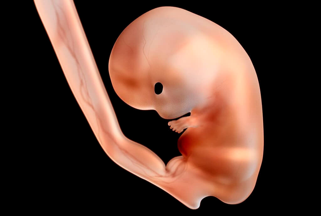 Chu vi vòng đầu thai nhi là gì