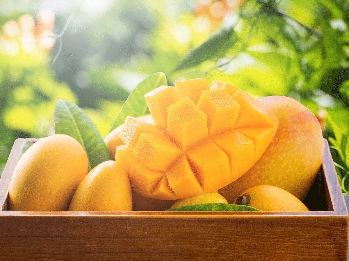 trái cây mùa hè giải nhiệt cuộc sống