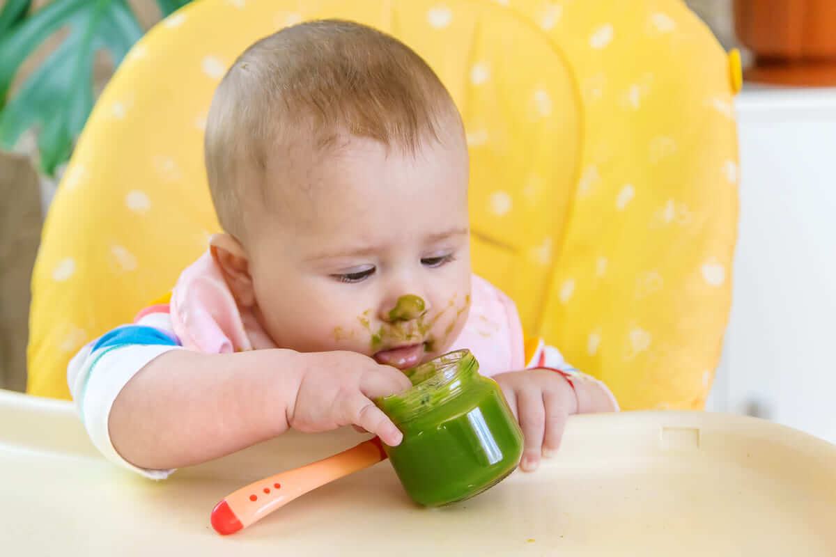 Bé bao nhiêu tuổi có thể ăn được cải kale