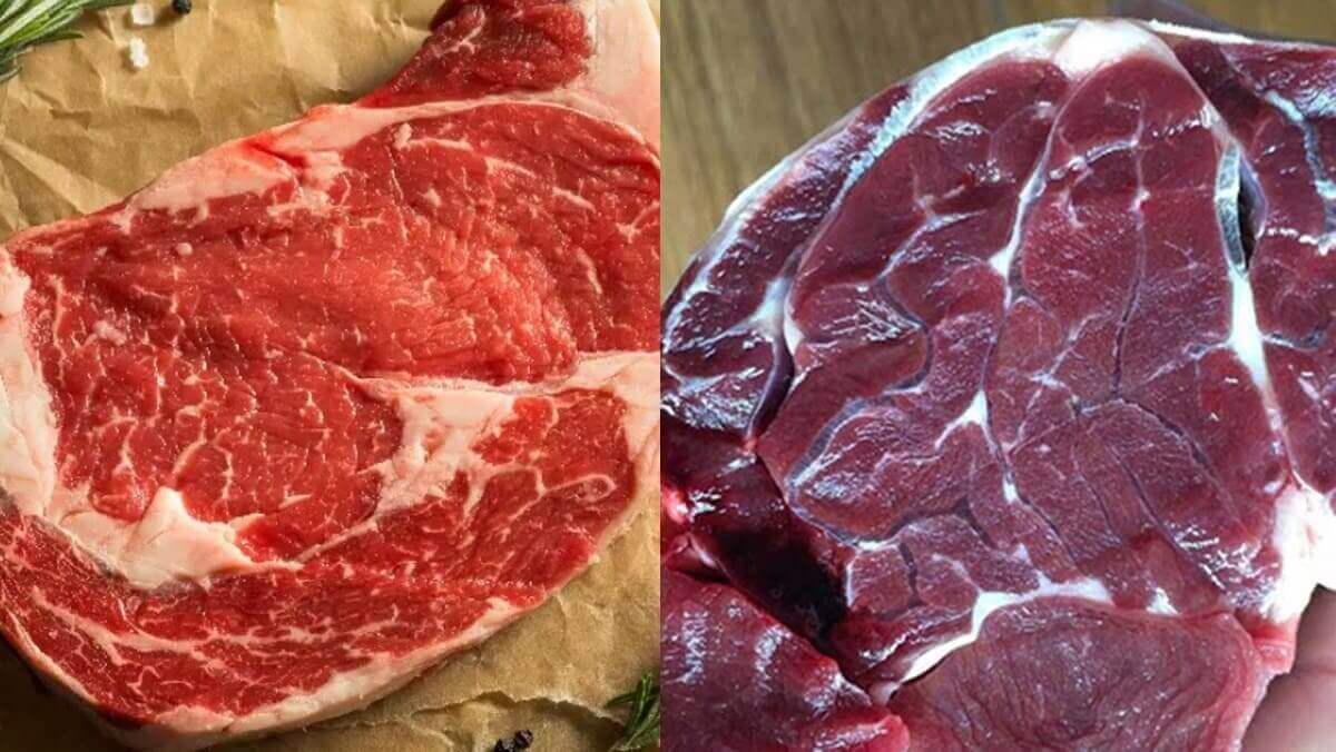 phân biệt thịt trâu và thịt bò