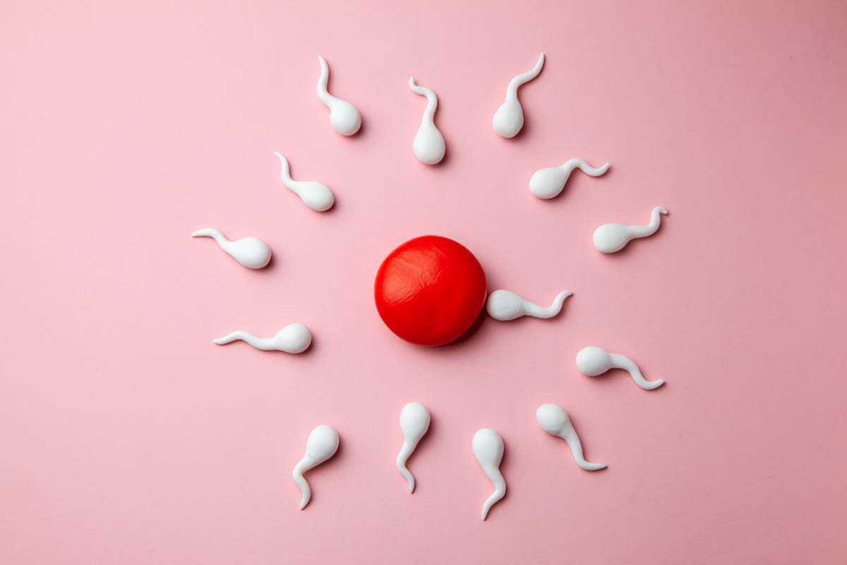 Tiêm thuốc tránh thai bao lâu thì quan hệ được và quá trình thụ thai