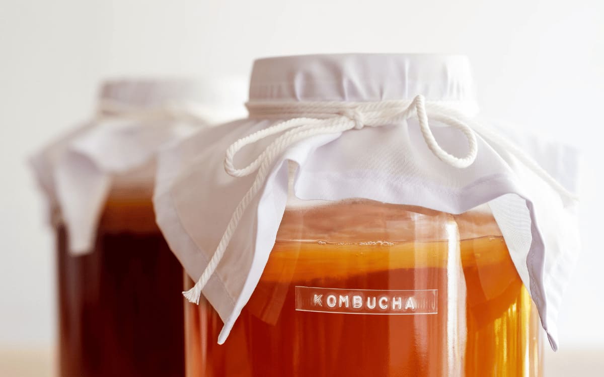 kombucha là gì