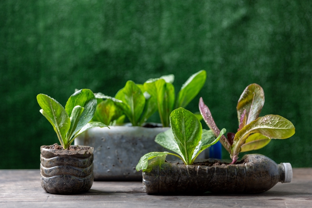 Lợi ích của việc sống tối giản trong gia đình