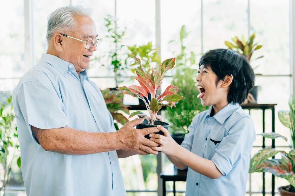 tình cảm của cháu đối với ông bà​ và vì sao mối quan hệ này có ảnh hưởng sâu sắc đến tuổi thơ