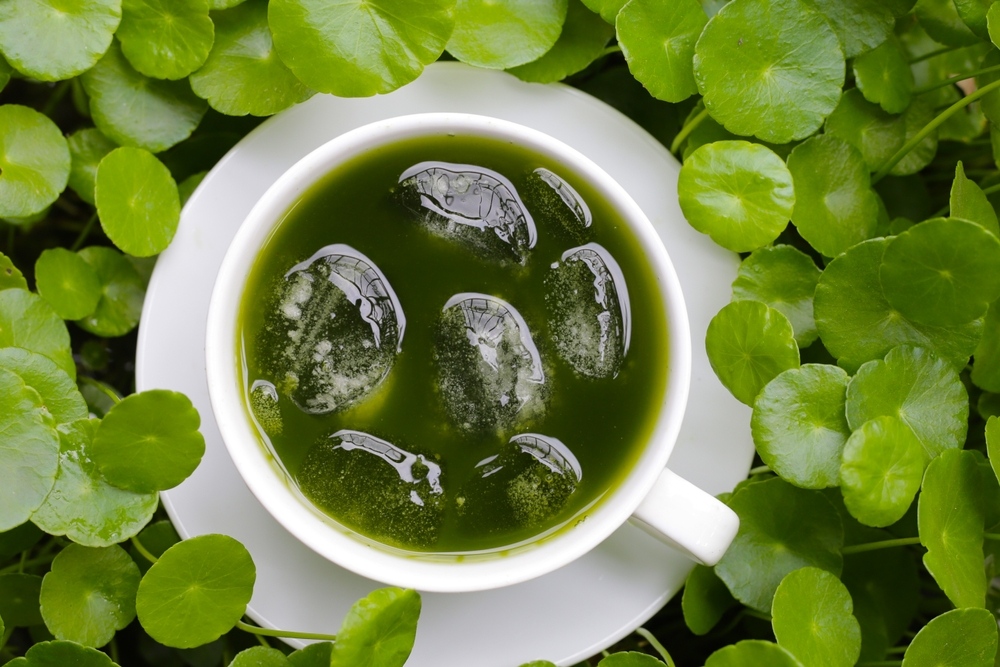 uống thuốc tây nhiều nên ăn gì cho mát​ và gợi ý nhóm thực phẩm thanh nhiệt cơ thể